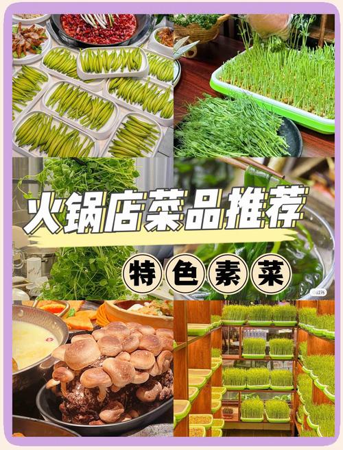 十大品牌火锅加盟店排行_排名前十的火锅加盟店_火锅加盟店排行榜